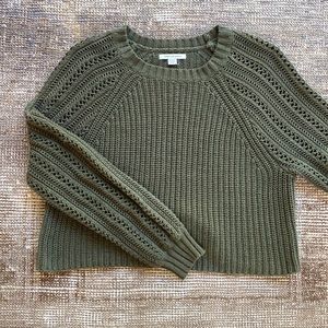 Greene American Eagle sweater